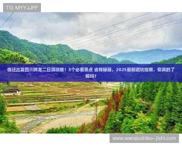 波胆3比3赔率多少避坑指南极速提现平台对比